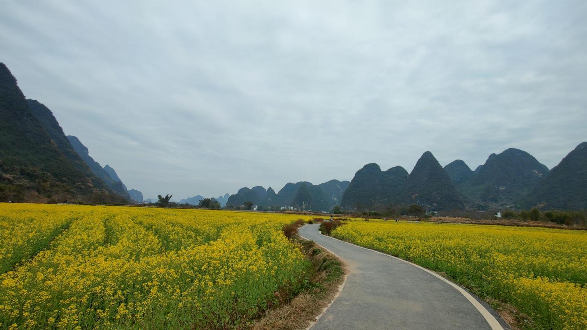 Yangshuo Tea Cozy--One Way Free Pick Up From Airport Or Ts 4 Nights ξενώνας Εξωτερικό φωτογραφία